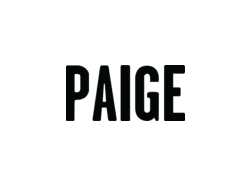 PAIGE LOGO